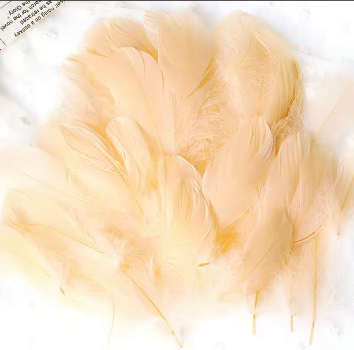 Clear Bobo Balloons 10pc + Feathers insert 50pc included.