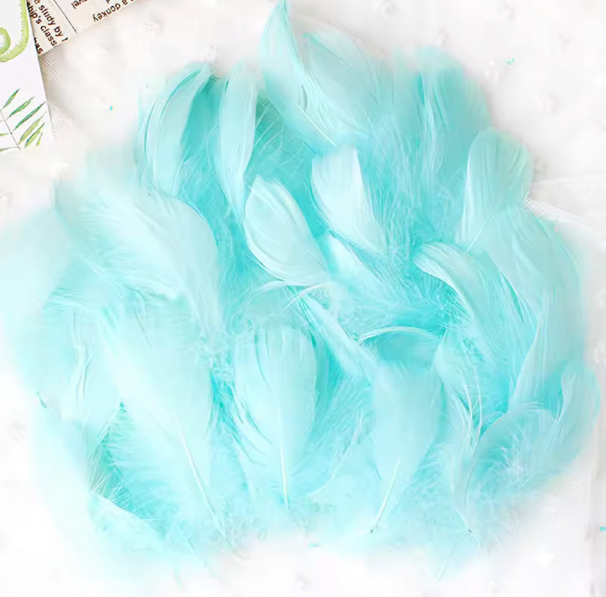 Clear Bobo Balloons 10pc + Feathers insert 50pc included.