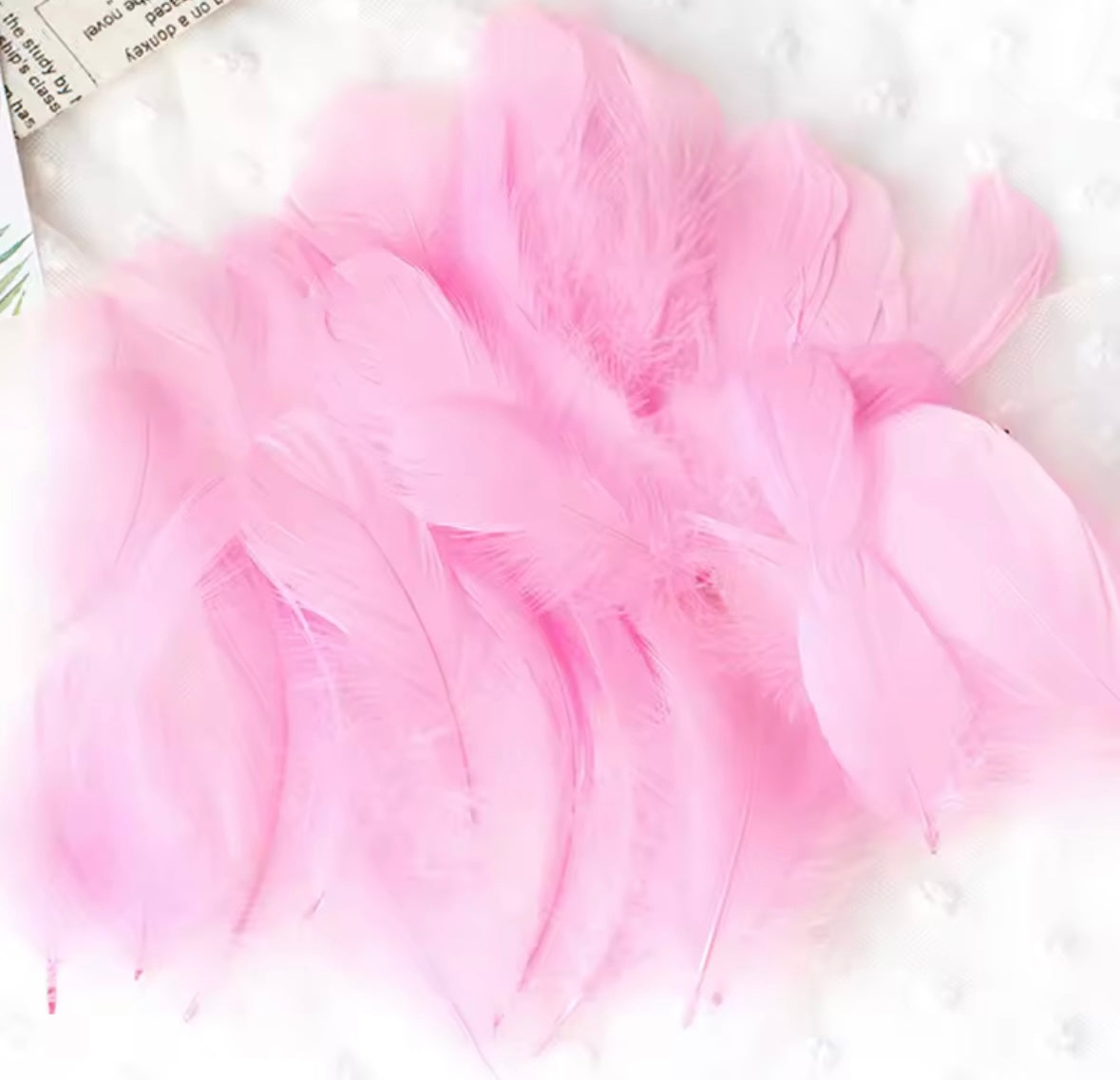 Clear Bobo Balloons 10pc + Feathers insert 50pc included.